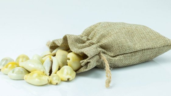 The Cowrie: Looking Into The Eye Of African’s Cultural Past And Present Heritage