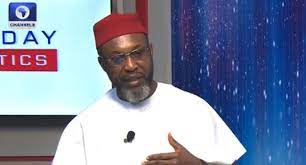 Northern Youths Will Vote PDP And Not LP – Chidoka