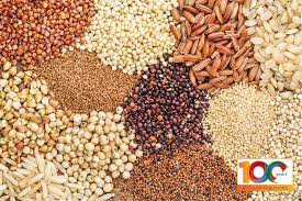 Ukraine Set To Establish Grain Hubs In Nigeria,
