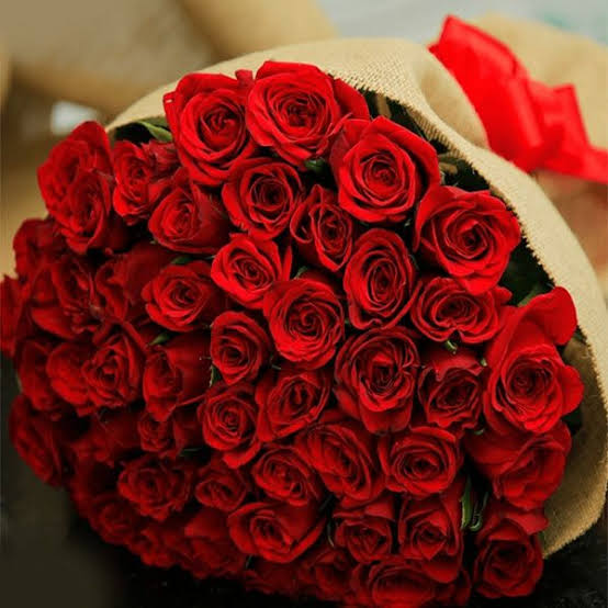7 Beautiful Things Rose Flowers Teach Us About Love