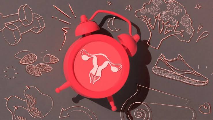 How To Use Your Menstrual Cycle For A Better Lifestyle
