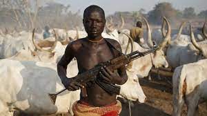 JUST IN: Suspected Herdsmen Invade Oyo Secondary School