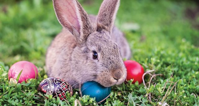 Deeping History, Traditions And Culture Of Easter