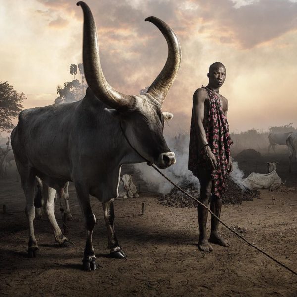 The Curious Relationship Between Man And Cattle: A Case Of The Mundari Tribe Of South Sudan