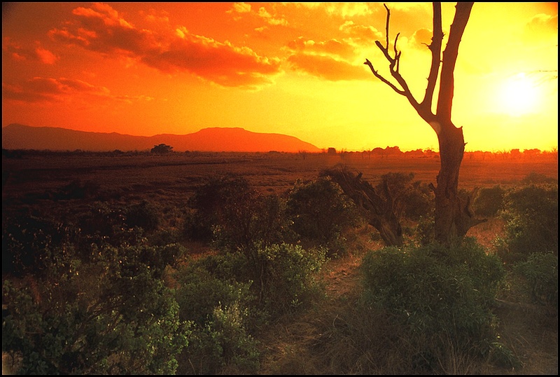 What Is The Culture Of African