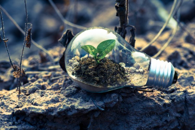 Cultivate A Growth Mindset