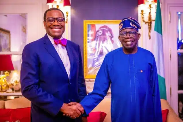 AfDB To Establish Entrepreneur Investment Bank In Nigeria