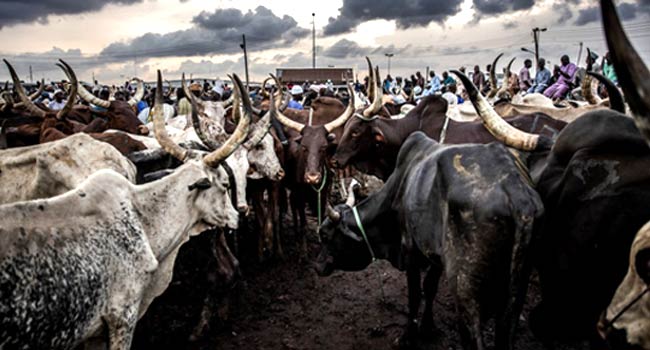 Northern Group Threatens To Halt Food Supply To South Over Igboho’s Ultimatum