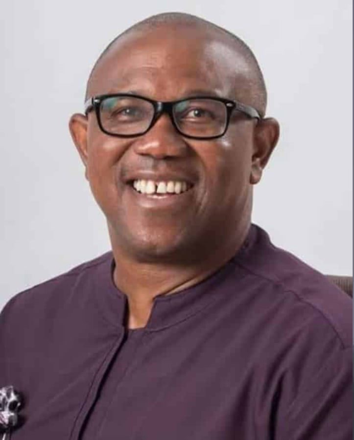 Peter Obi Would Make Pronouncements On His Political Future Soon