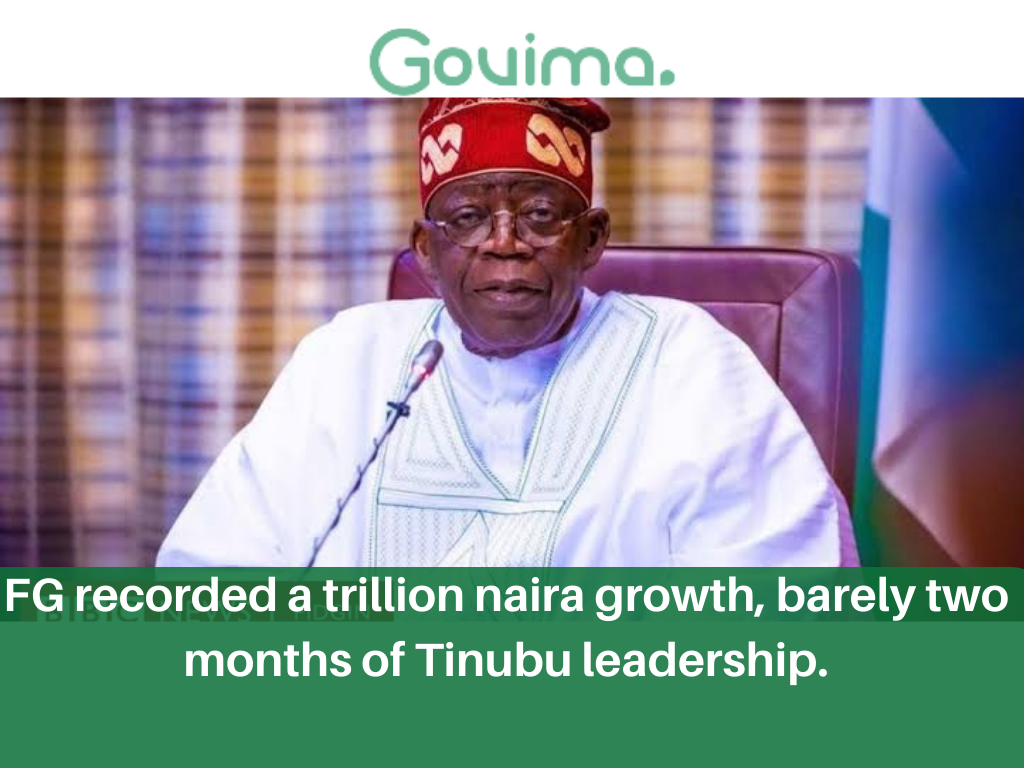 FG Recorded A Trillion Naira Growth, Barely Two Months Of Tinubu’s Leadership