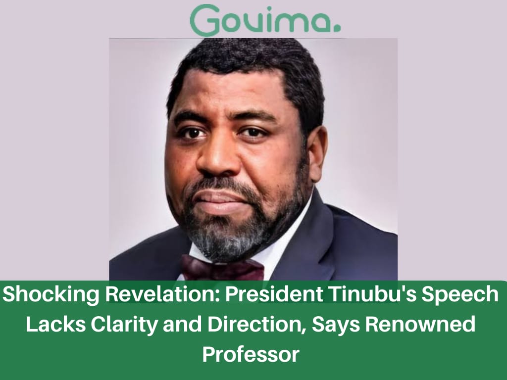 Shocking Revelation: President Tinubu’s Speech Lacks Clarity and Direction, Says Renowned Professor