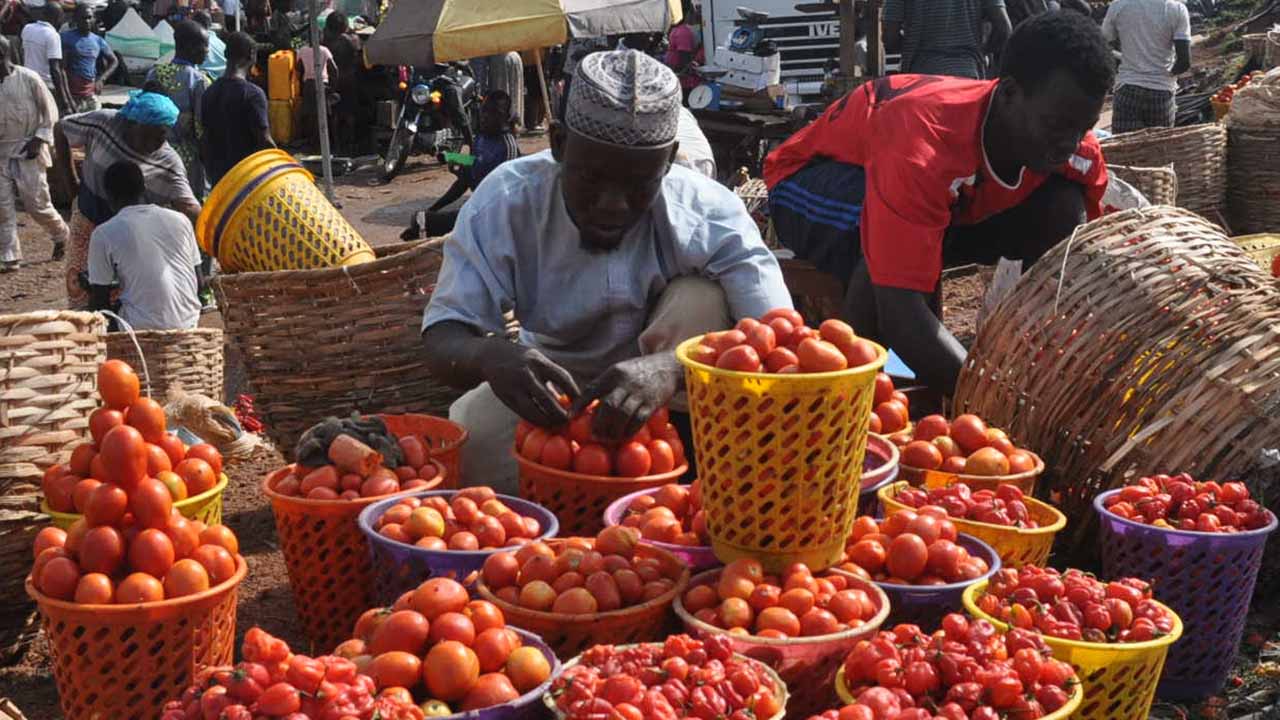 Tomato Prices Surge In Nigeria: 19.48% Monthly Increase And 48.73% Year-On-Year Rise