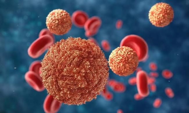 Breaking News: Dengue Fever Outbreak Confirmed In Sokoto State, Nigeria