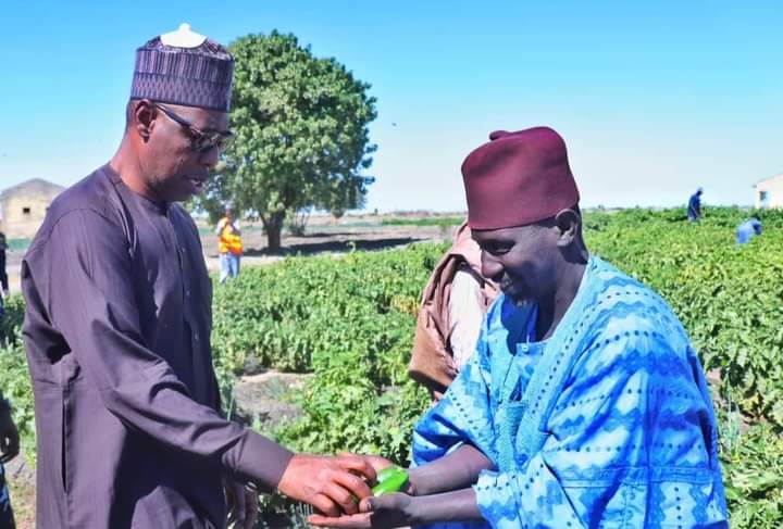 Governor Zulum Announces Plan To Reactivate The South Chad Irrigation Scheme