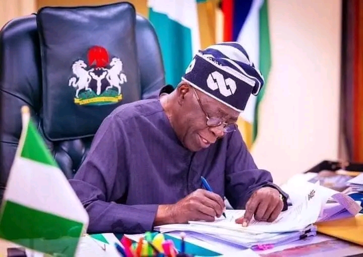 President Tinubu Appoints Executives From Federal Ministry Of Marine And Blue Economy