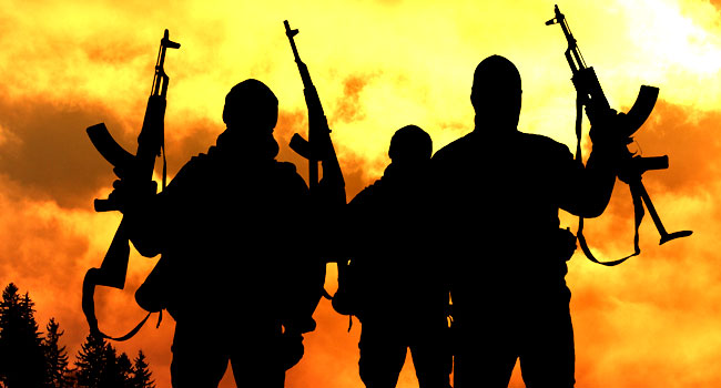 Six Tiv Farmers Killed By Gunmen in Nasarawa State, Calls For Government Intervention Grow