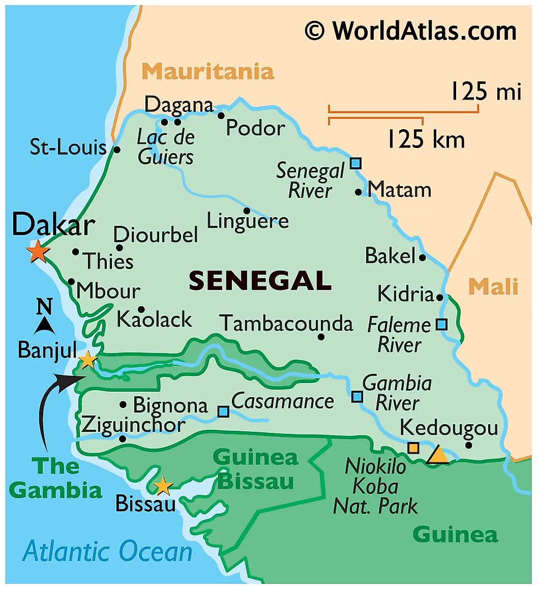 Senegal’s Parliament Votes To Delay Presidential Election Amid Chaotic Scenes