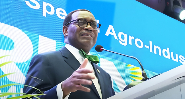 Adesina Urges Nigerian Youths To Stay In Africa For Economic Prosperity