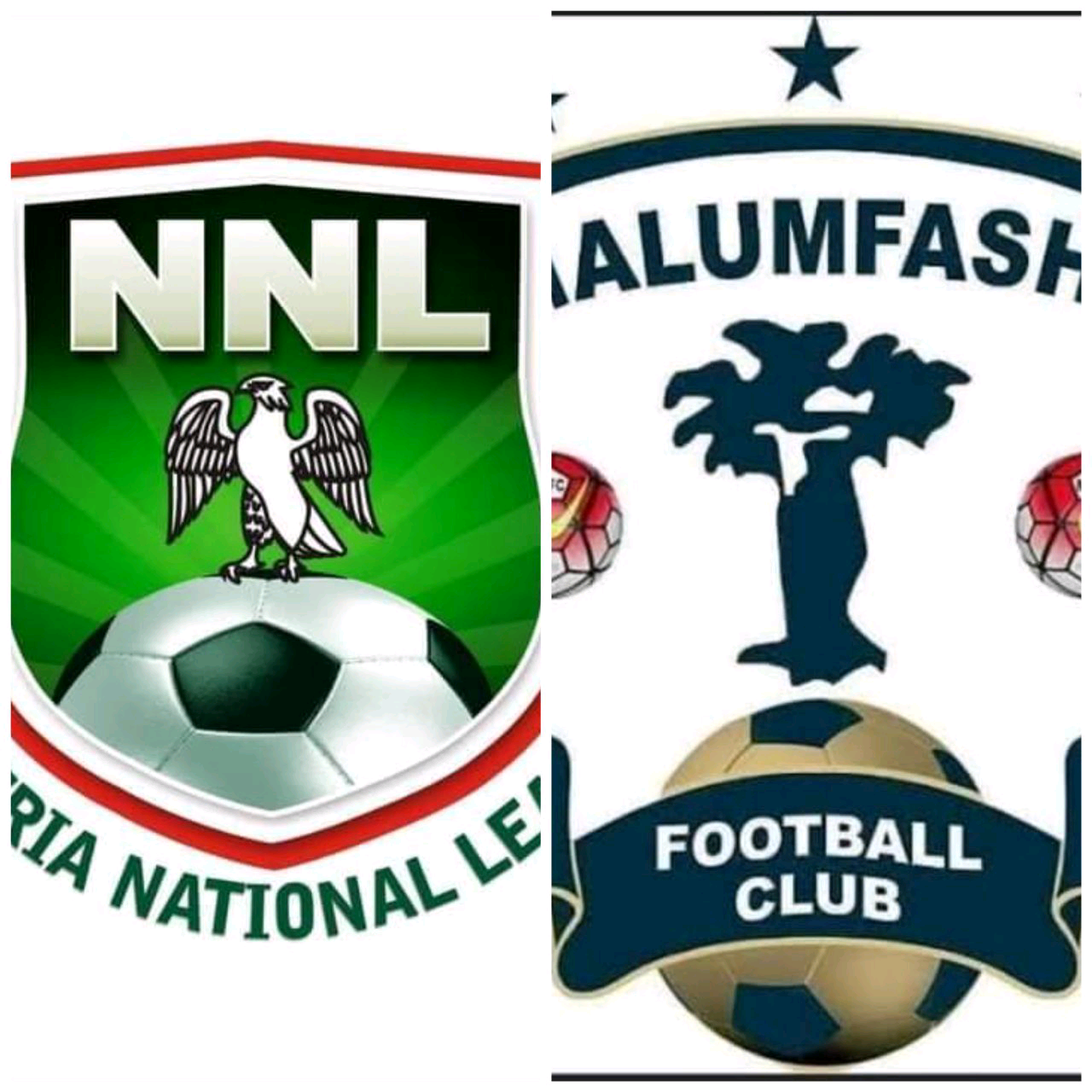 NNL: Malumfashi Football Club Expelled from Nigeria National League