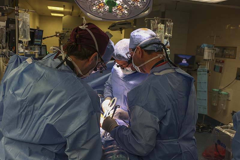 Kidney Dialysis Subsidy Slashes Costs For Nigerians