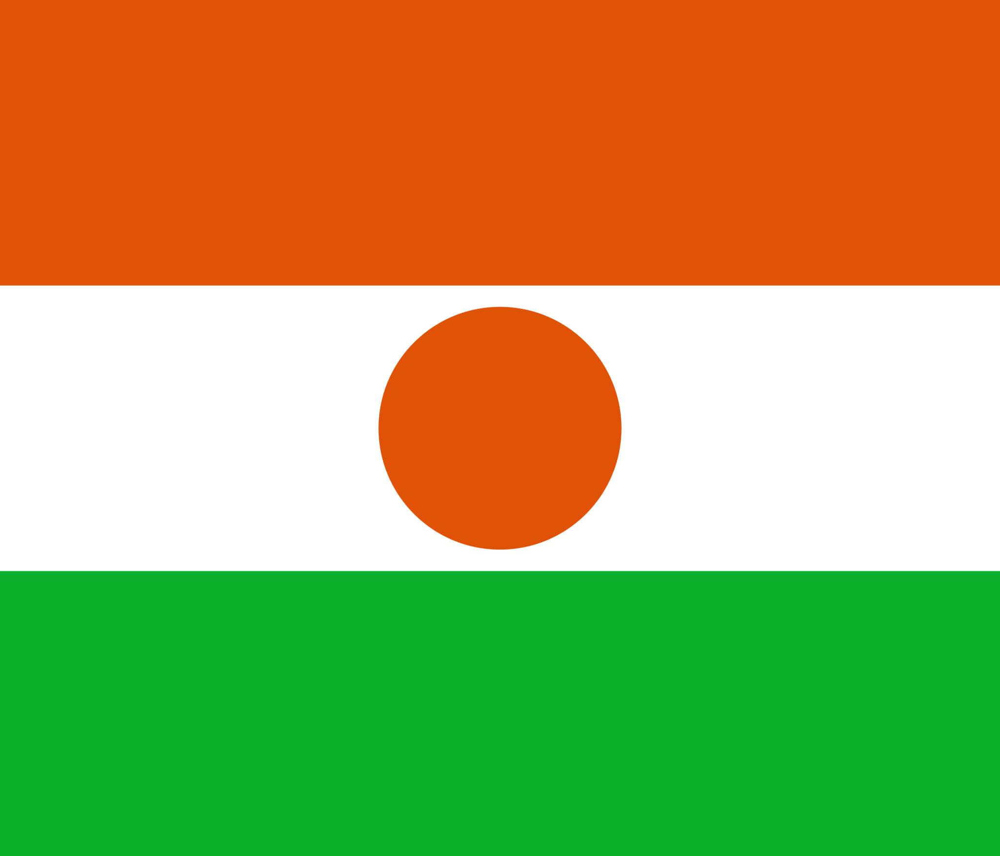 Reasons Why Niger Junta Cuts Relationship With The US Government