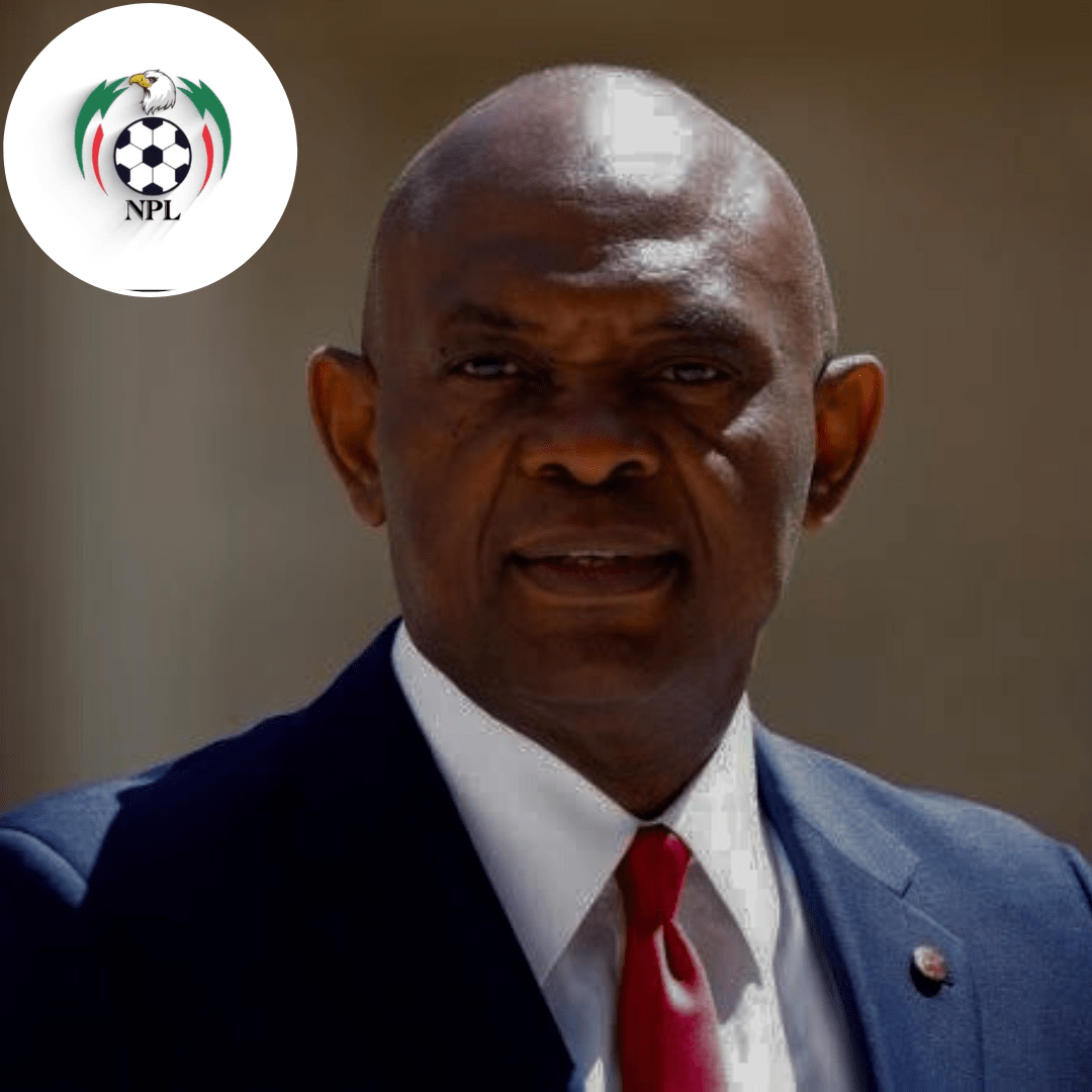 NPFL: Tony Elumelu Shows Interest In Acquiring A Nigerian Club