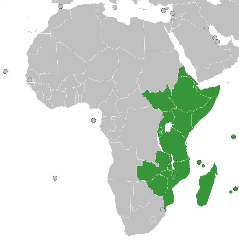 Africa Set To Launch Independent Credit Ratings Agency By 2025