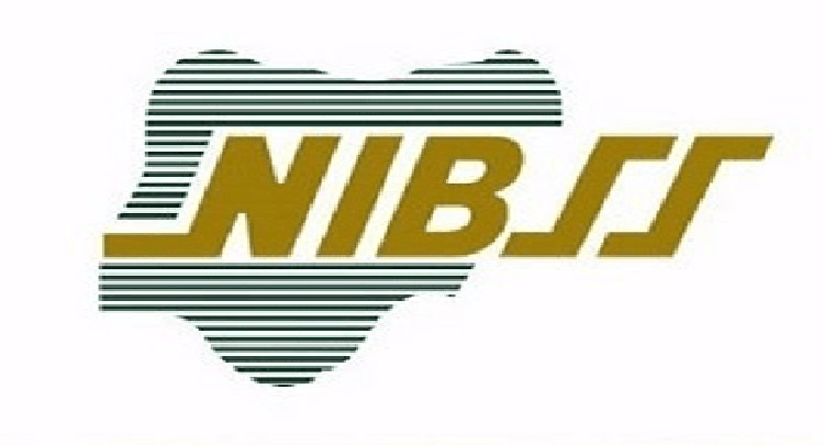 Bank Lost N17.67bn To Fraud In 2023- NIBSS