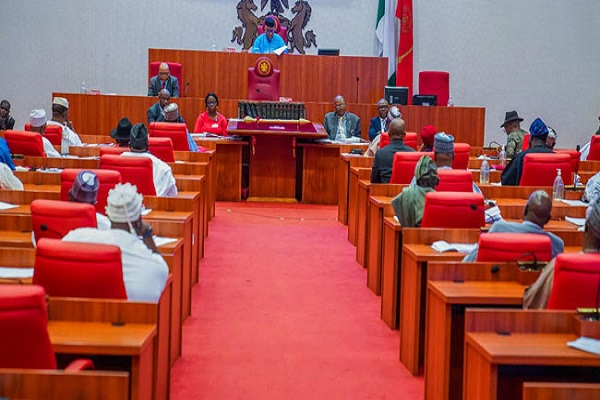 Nigerian Senate Urges Local Governments To Tap Capital Market For Infrastructure Funding