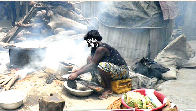 Over 98,000 Nigerian Women Perish Annually Due To Household Air Pollution, Expert reveals