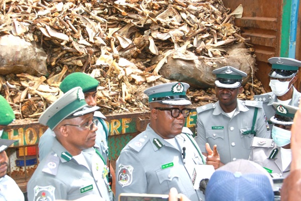 Nigeria Customs Seizes Contraband Donkey Products And Illicit Drugs Worth Over Three Billion Naira