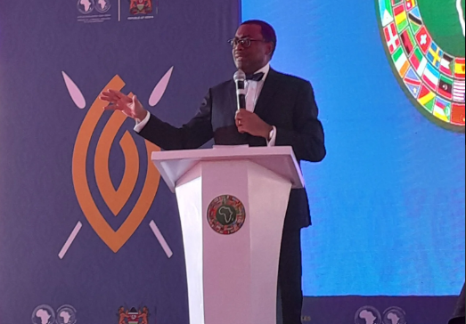 Economic Growth Metrics Need Expansion Beyond GDP, AfDB
