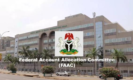 FAAC Reports Decline In VAT Revenue, Distributes N1.678 Trillion To Governments