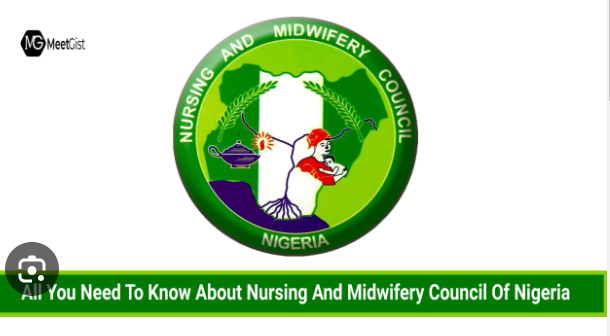 Nursing And Midwifery Council Reopens Verification Portal For Nurses and Midwives,After many Pleas