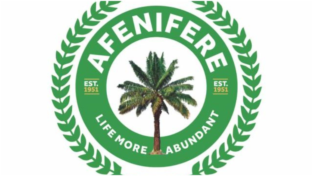 Afenifere Warns Of Security Risks From Skyrocketing Energy Prices