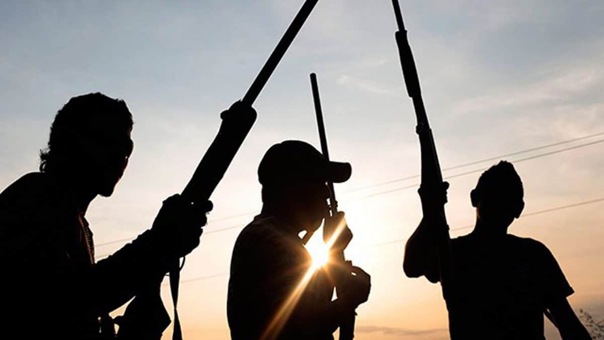 Peace Efforts Bear Fruit As Hundreds Of Militants Surrender In Ukum, Benue State