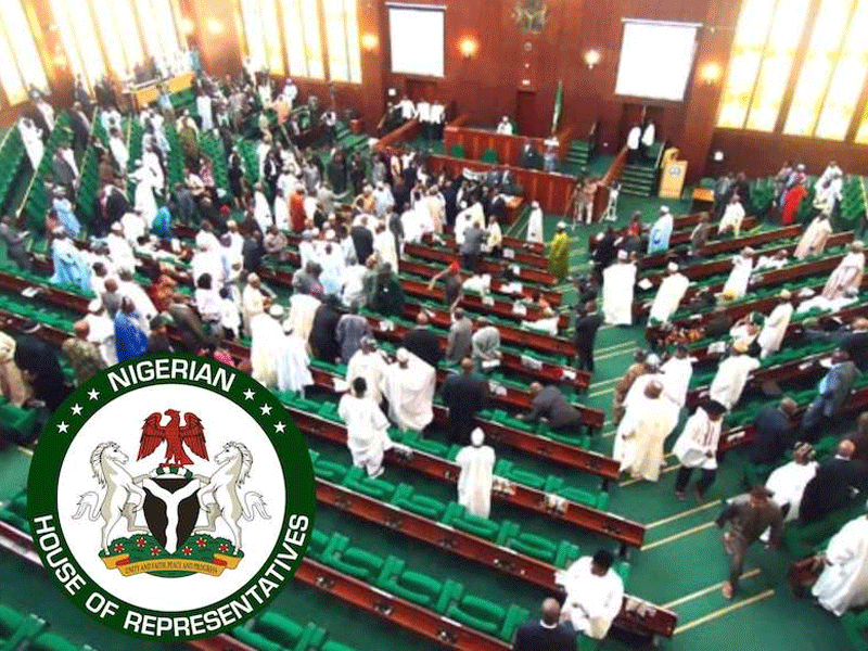 Reps Push Six-Year Single Term For CBN Governor, Seek Ban On Foreign Currency Transactions