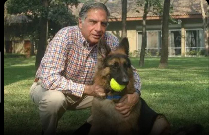 Late Indian Billionaire Ratan Tata Names Dog As Beneficiary Of £91 Million Estate