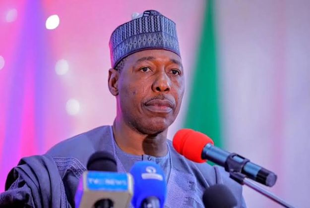 Governor Zulum Urges Caution Over Tax Reform Bills