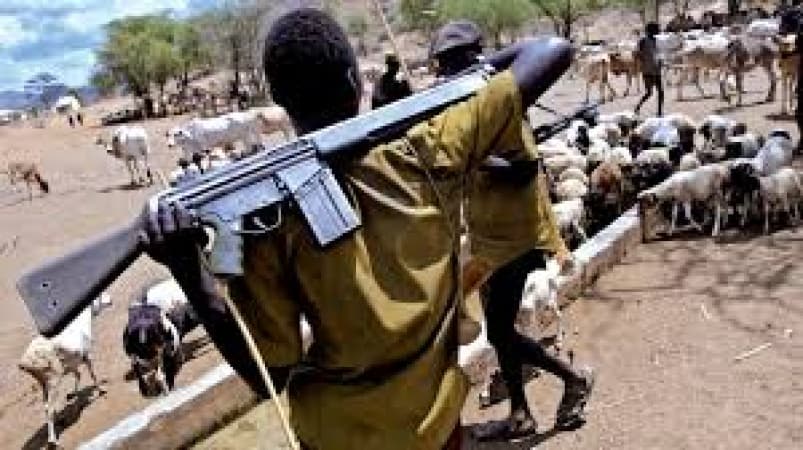 Report Highlights Rising Toll Of Farmer-Herder Conflicts In Nigeria