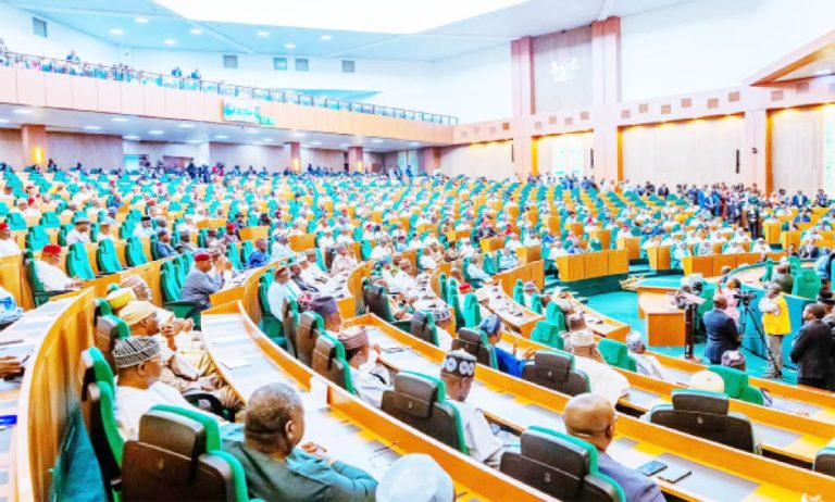 Bill To Strip Immunity From Nigeria’s Vice President And Governors Passes Second Reading