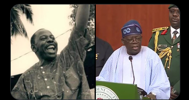 PANDEF Applauds Tinubu For Honouring Ken Saro-Wiwa, Urges Restoration Of Democratic Order In Rivers
