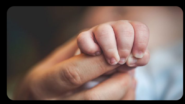 Anambra State Youths Involved In Alarming Baby Trafficking Scheme, NAPTIP Reports