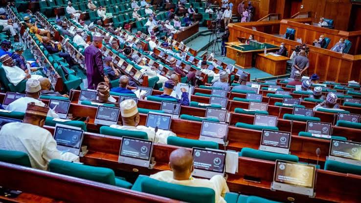 House Committee Queries Edun, Bagudu Over Budget Delays
