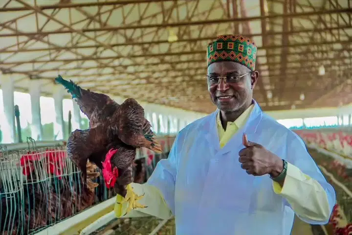 Developing Nigeria’s Livestock Industry Remains Our Priority — Minister