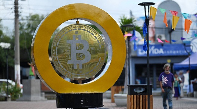 Bitcoin At $81K: The Power Of Whales And Wall Street