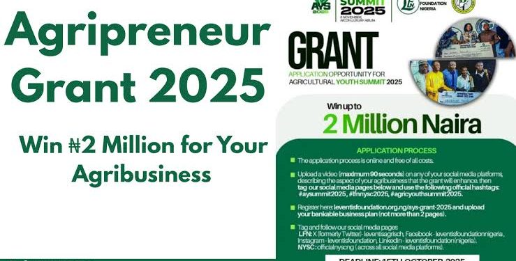 Nigerian Government, Leventis Foundation To Award N2m Grants To Young Agripreneurs