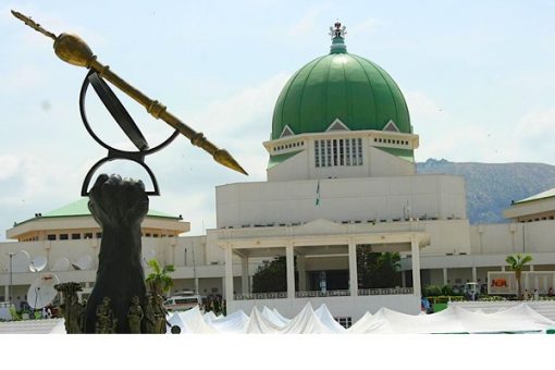 Anioma Movement Hails National Assembly Over Proposed Southeast State
