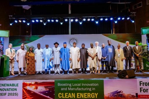 FG Cautions Against Relying On Importation For Renewable Energy Development