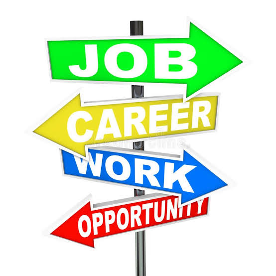 Federal Government Launches National Job Centres To Combat Unemployment
